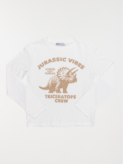 T-shirt dinosaure garçon...