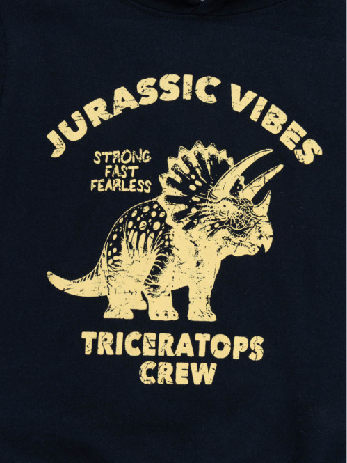 Sweat capuche Tricératops...