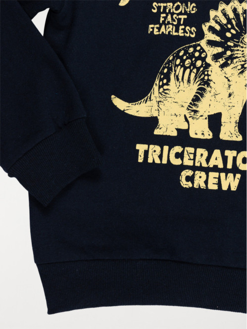 Sweat capuche Tricératops...