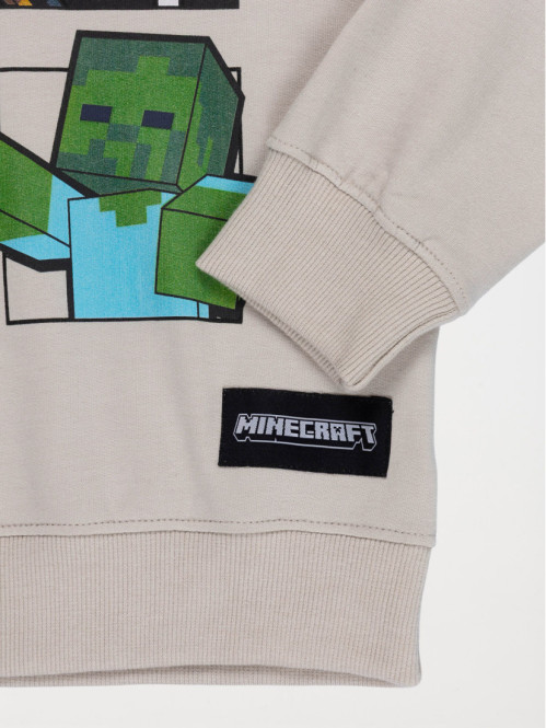 Sweat à capuche Minecraft...