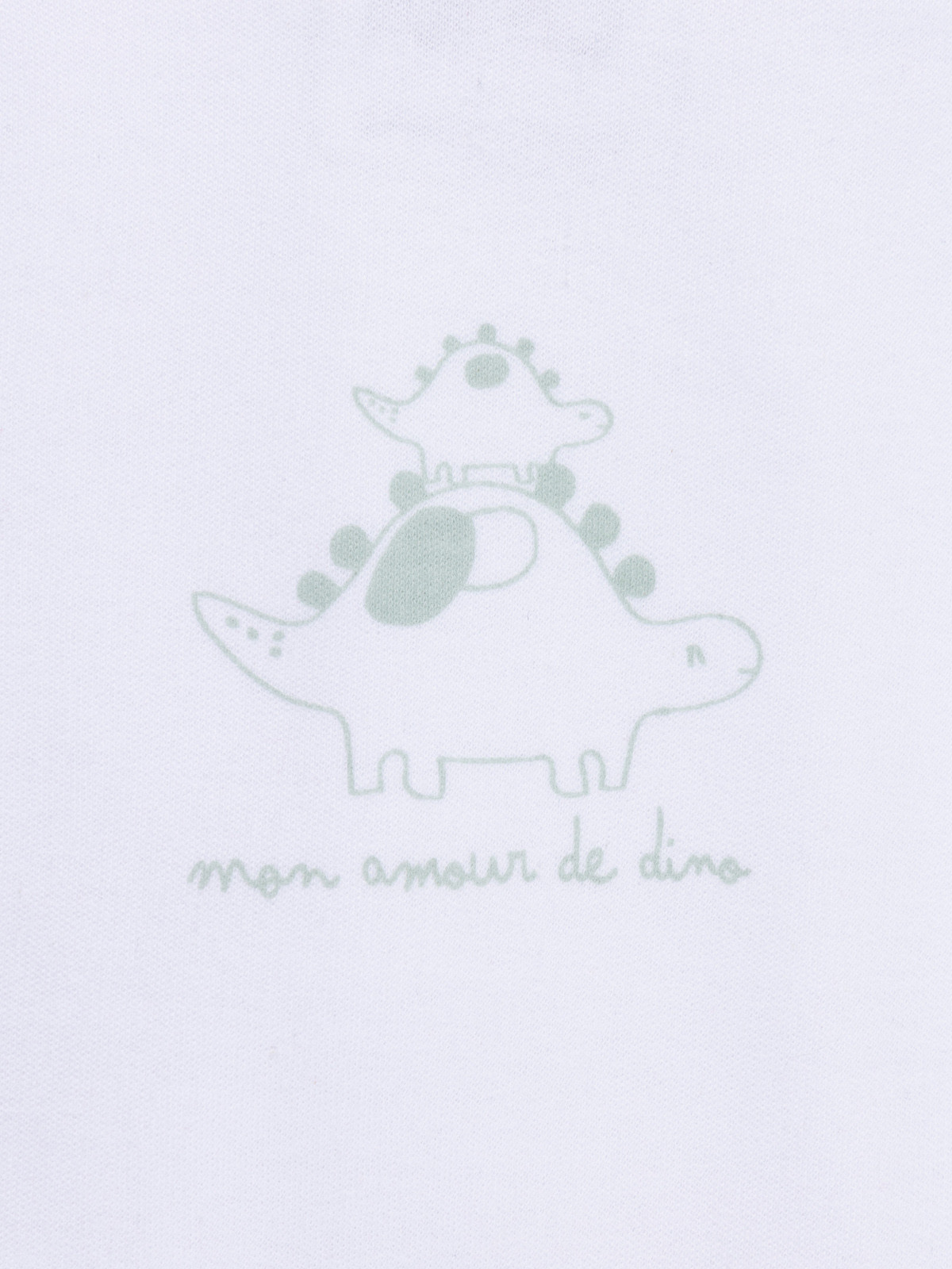 Lot 3 bodies dinosaure garçon (3-24M)