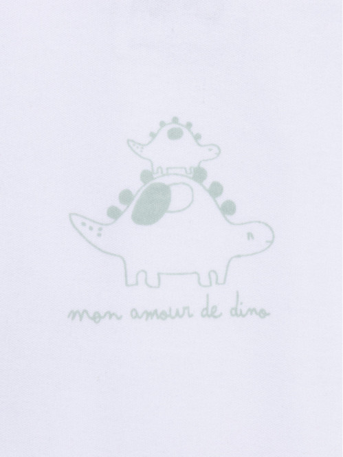 Lot 3 bodies dinosaure...