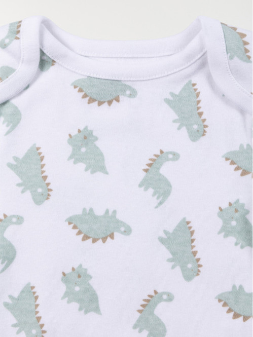 Lot 3 bodies dinosaure...