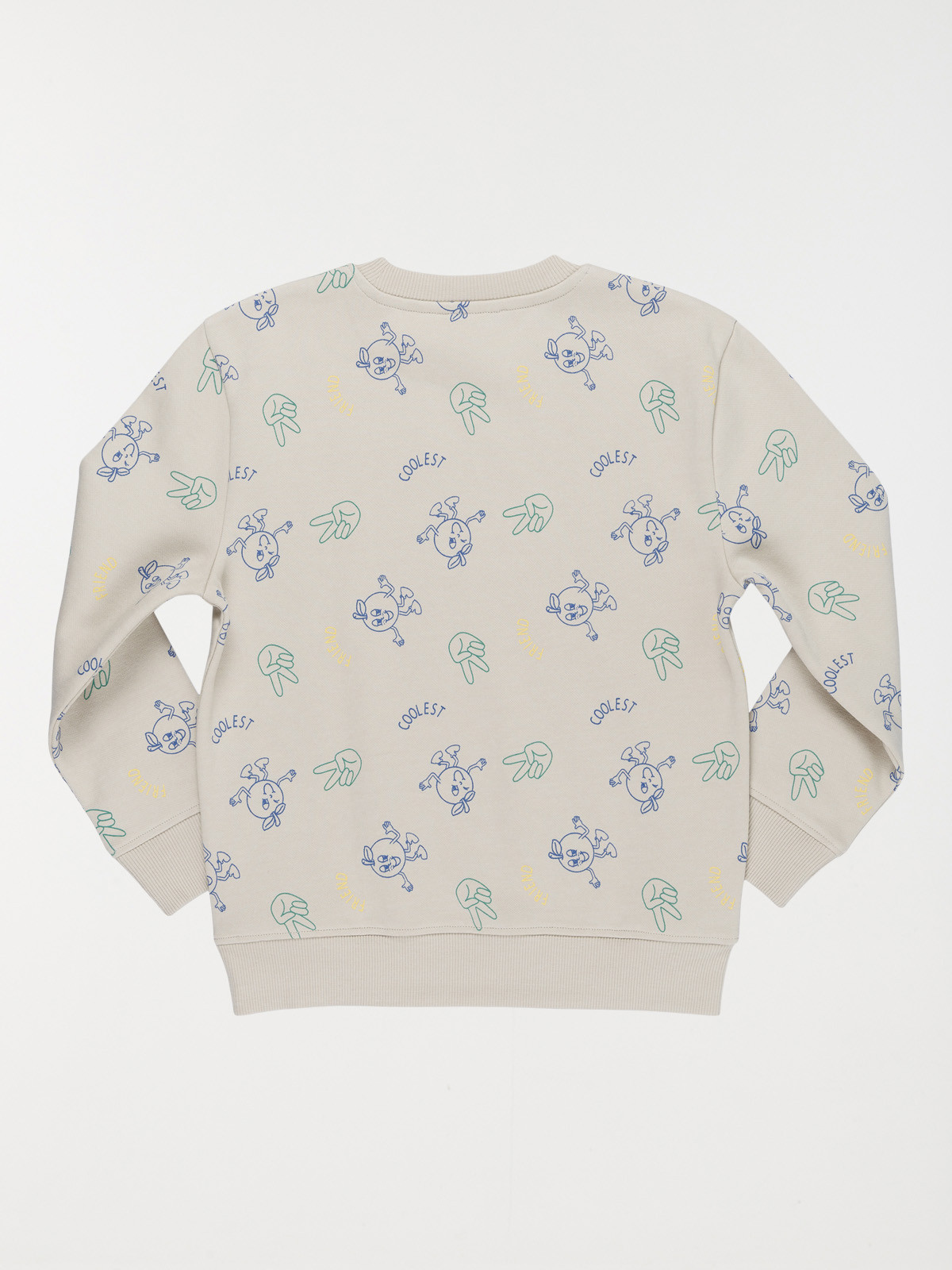 Sweat tout imprimé garçon (3-12A)