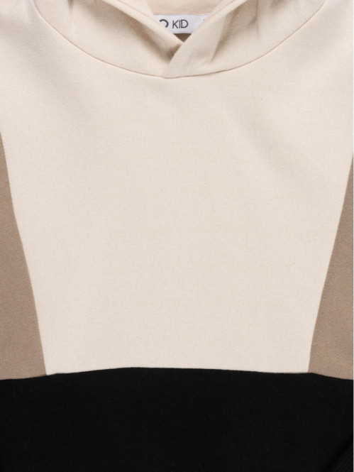 Sweat à capuche tricolore...