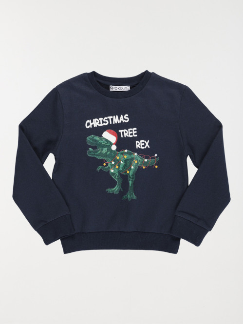 Sweat Noël dinosaure garçon...