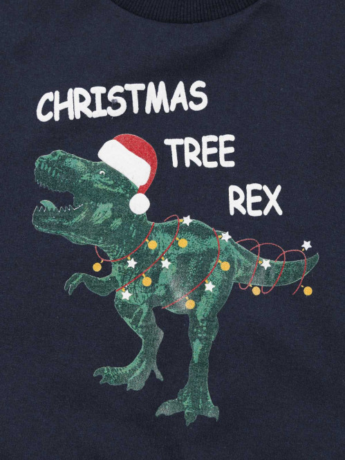 Sweat Noël dinosaure garçon...