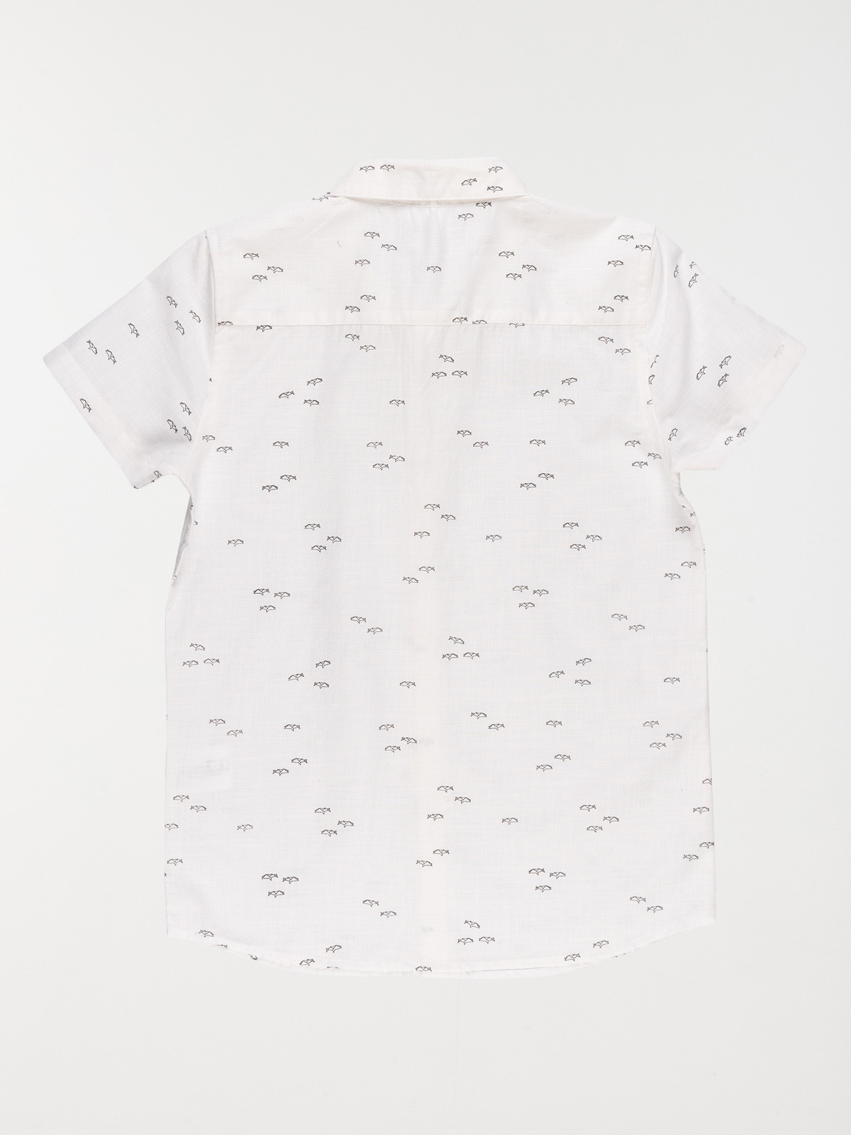 Chemisette motif requin garçon (10-16A) Chemisette motif requin garçon (10-16A)