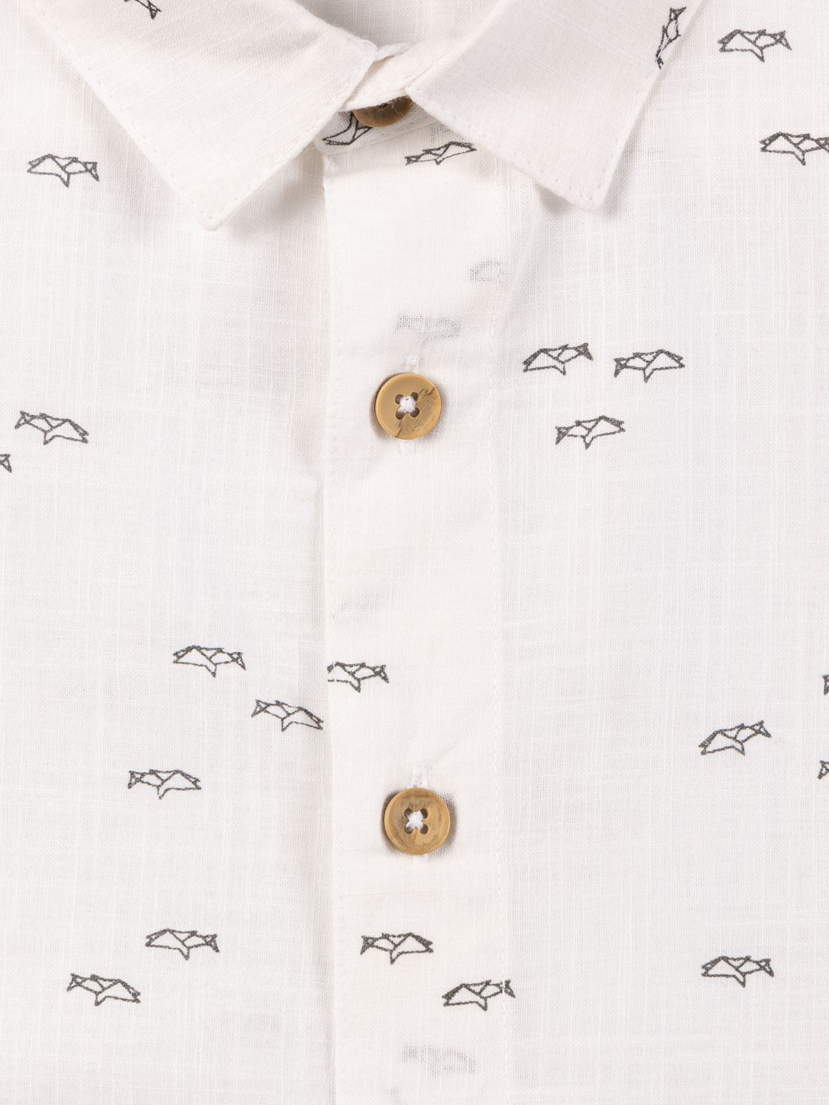 Chemisette motif requin garçon (10-16A) Chemisette motif requin garçon (10-16A)