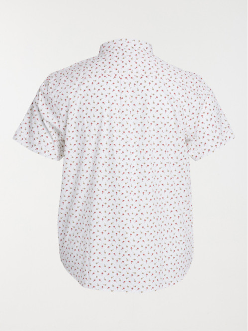 Chemise imprimée grande...