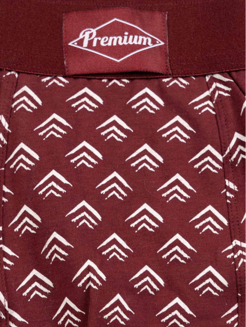 Lot de 3 boxers imprimés bordeaux homme Lot de 3 boxers imprimés bordeaux homme