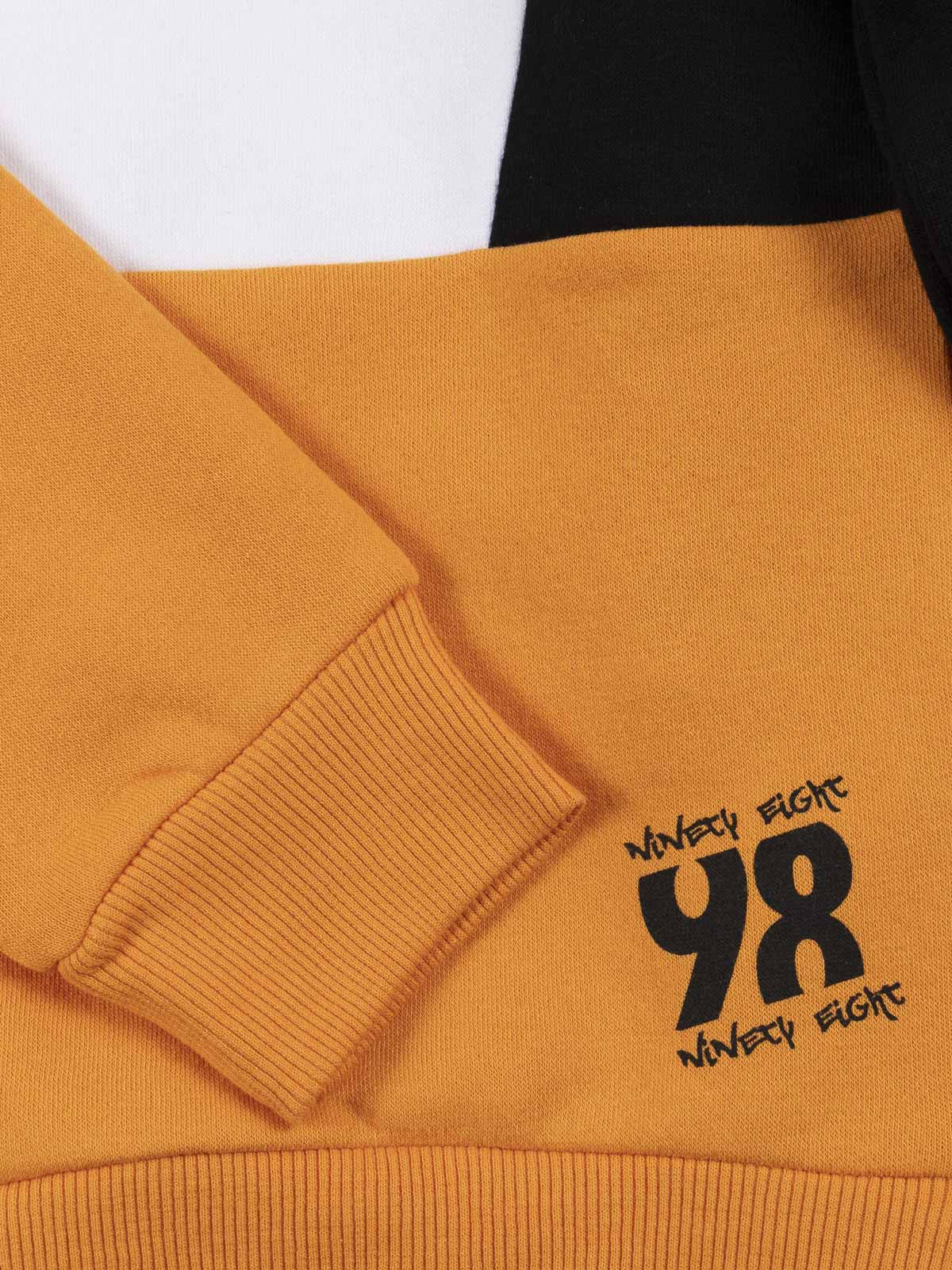 Sweat tricolore à capuche garçon (3-12A)