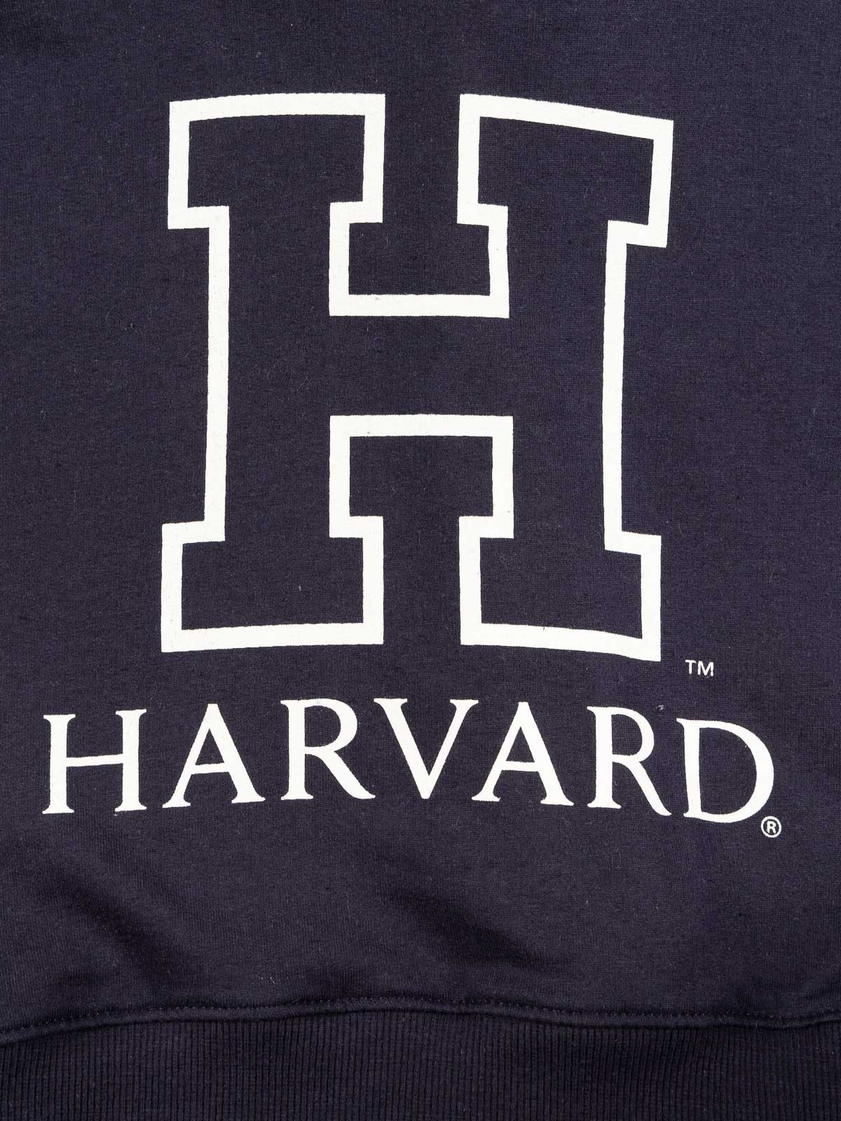 Sweat à capuche Harvard fille (10-16A)