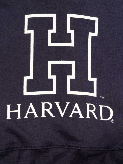 Sweat à capuche Harvard...