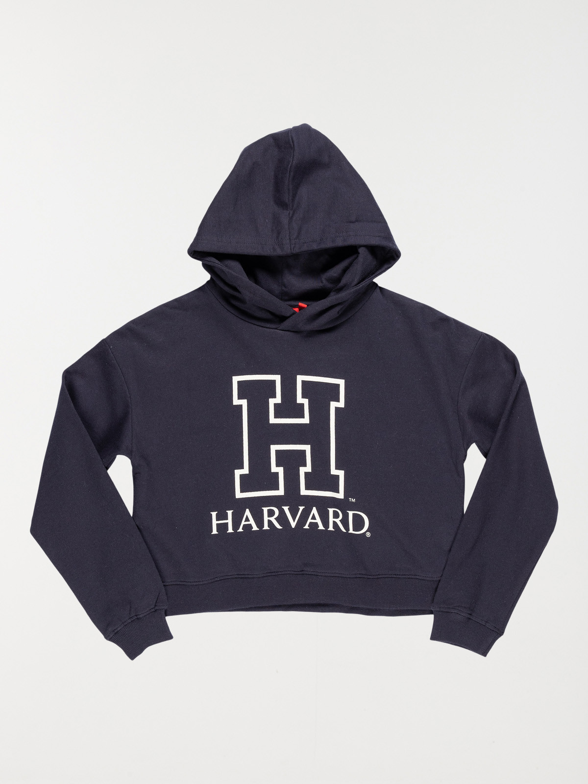 Sweat à capuche Harvard fille (10-16A)