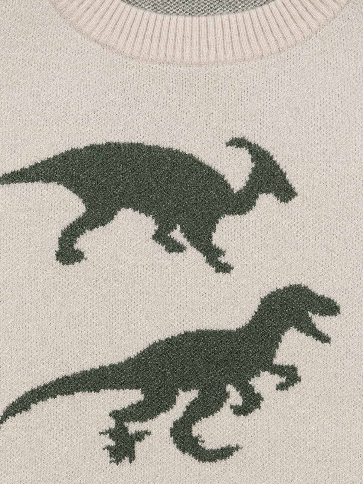 Pull dinosaures garçon (3-12A)