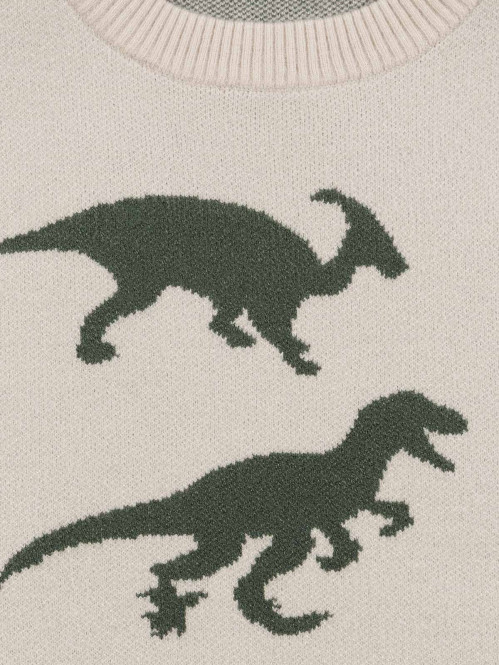 Pull dinosaures garçon (3-12A)