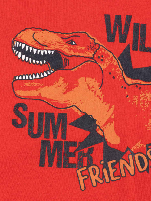 T-shirt dinosaure garçon...