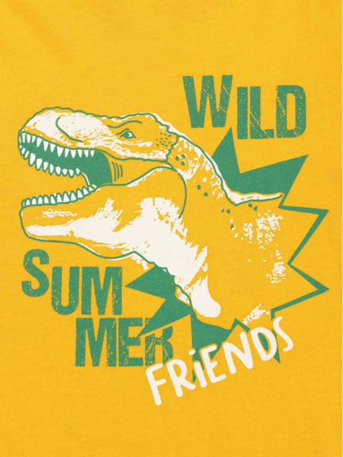 T-shirt garçon dinosaure...