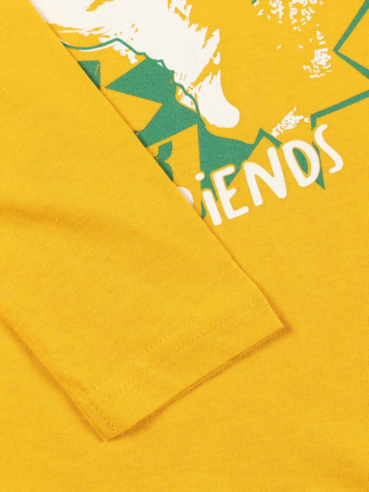 T-shirt garçon dinosaure T-rex (3-8A) T-shirt garçon dinosaure T-rex (3-8A)