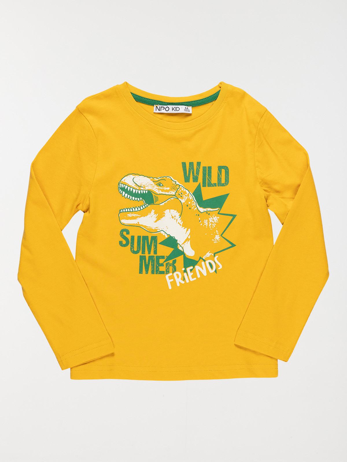 T-shirt garçon dinosaure T-rex (3-8A) T-shirt garçon dinosaure T-rex (3-8A)