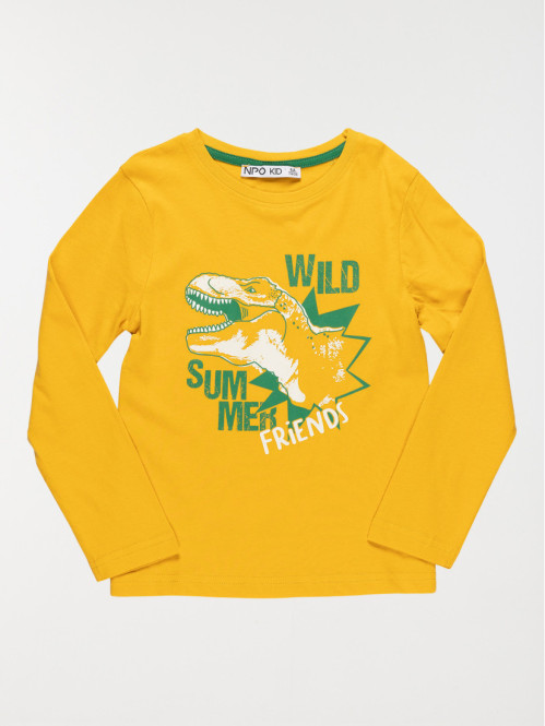 T-shirt garçon dinosaure...