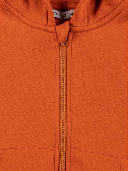 Sweat à capuche rouille...