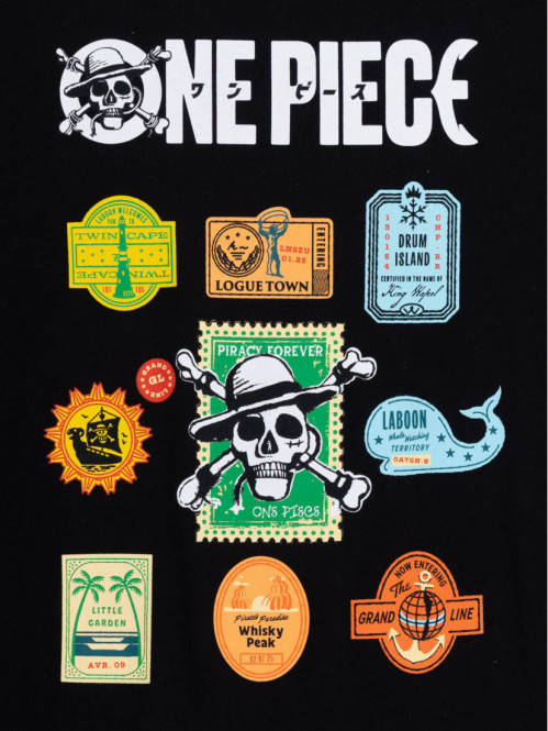 T-shirt ONE PIECE garçon...