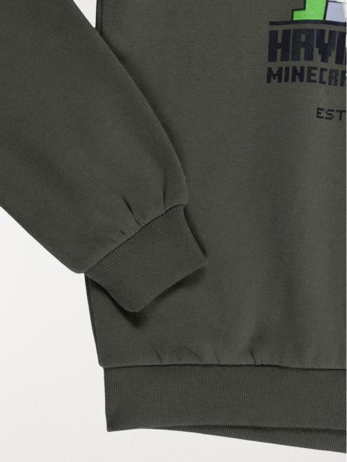 Sweat garçon capuche...