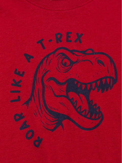 T-shirt T-rex garçon (3-12A)