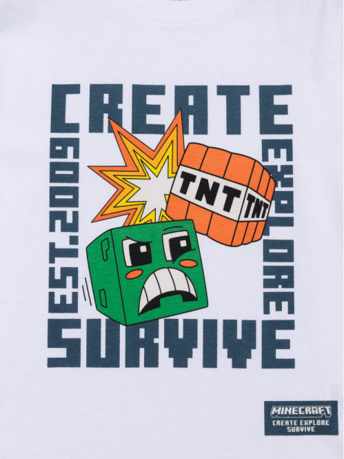 T-shirt MINECRAFT garçon...