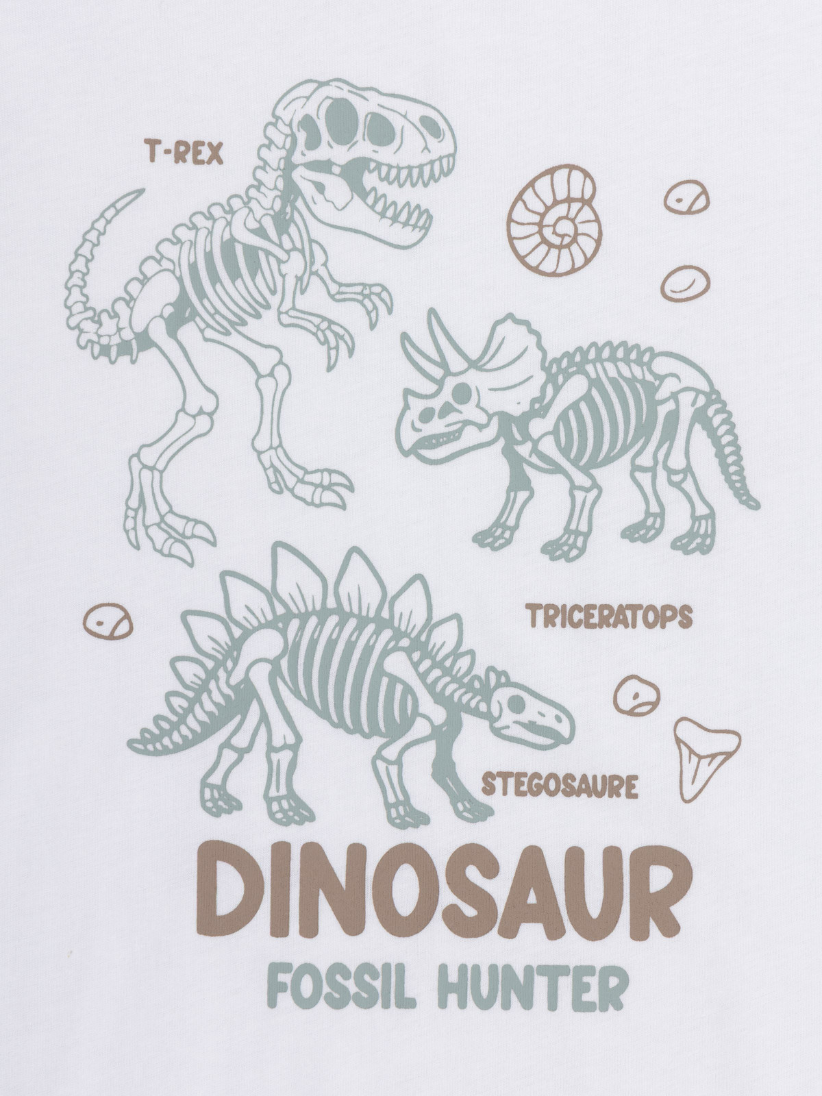 T-shirt dinosaures garçon (3-12A)