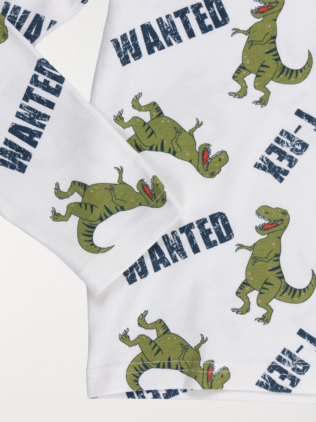 T-shirt T-rex garçon (3-8A)