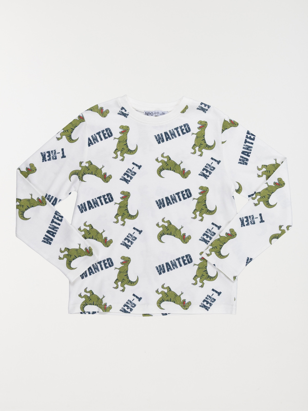 T-shirt T-rex garçon (3-8A)