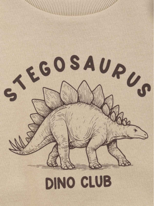 Sweat stegosaurus garçon (3-12A) Sweat stegosaurus garçon (3-12A)