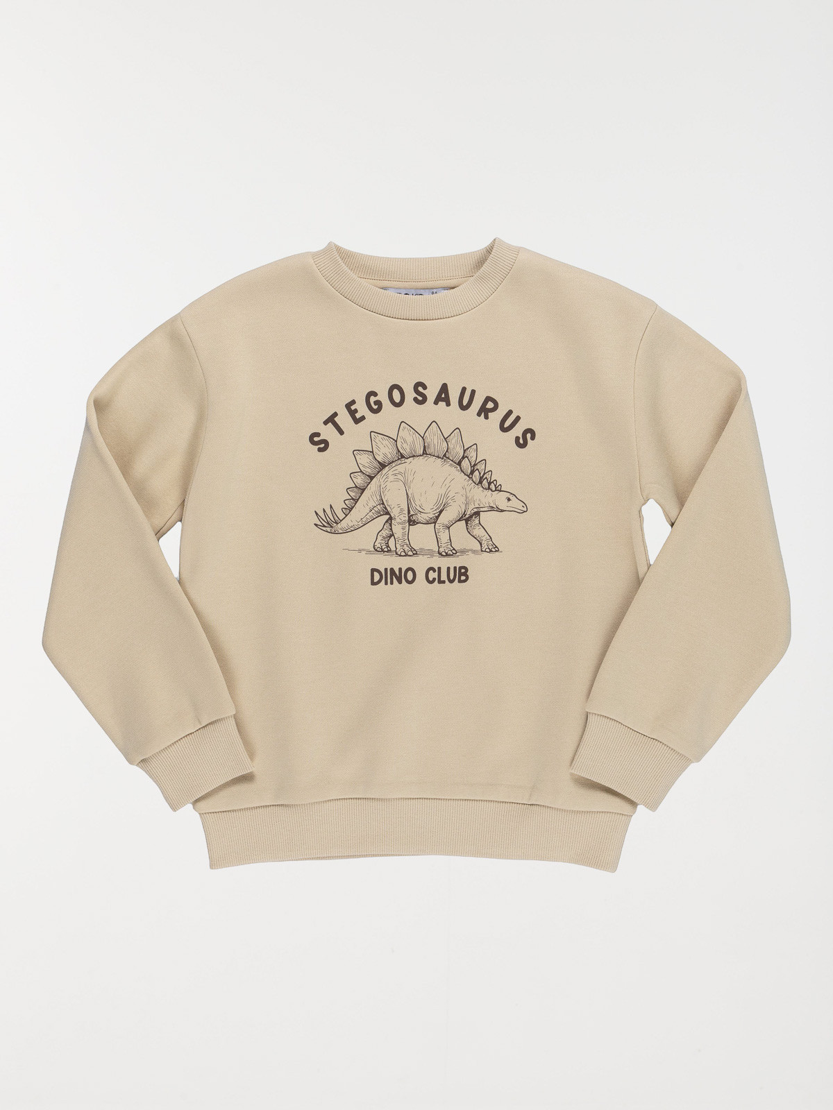 Sweat stegosaurus garçon (3-12A) Sweat stegosaurus garçon (3-12A)