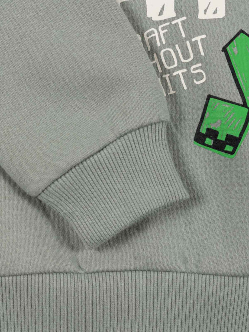 Sweat à capuche Minecraft...