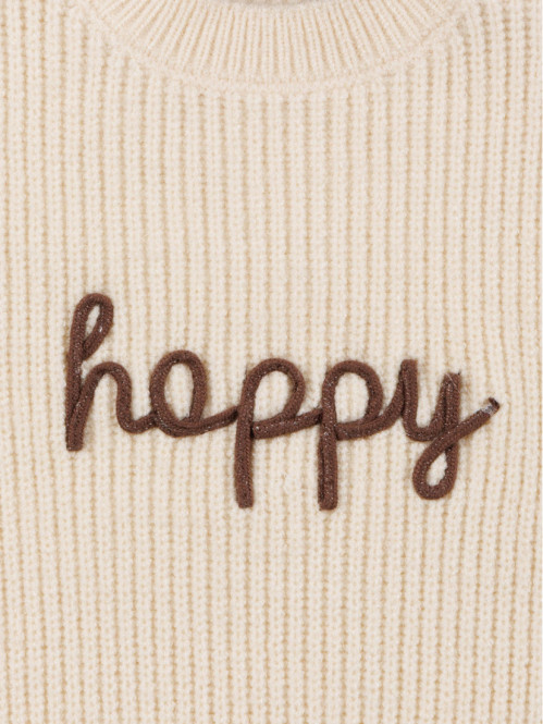 Pull happy garçon (3-36M)
