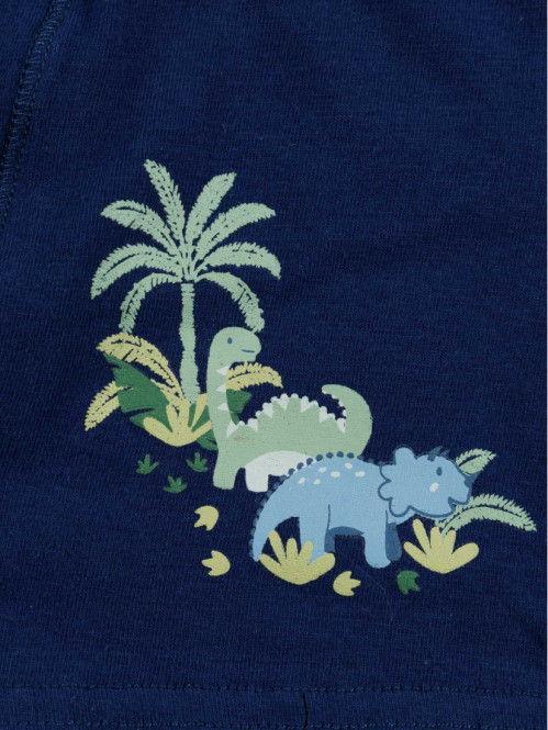 Lot de 3 boxers dinosaures...
