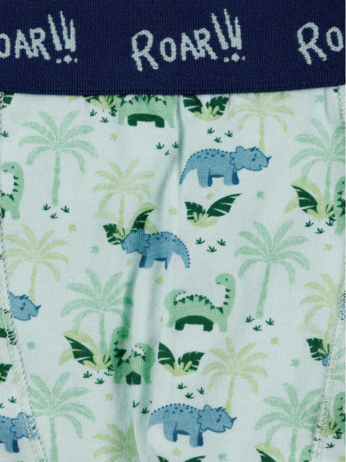 Lot de 3 boxers dinosaures...