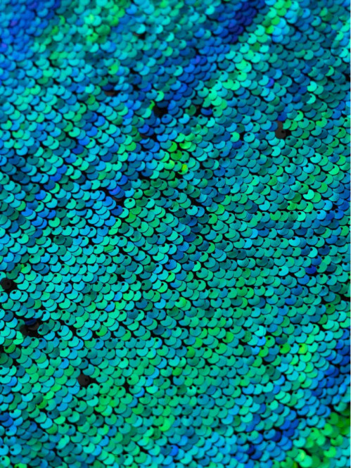 Jupe sequins réversibles...
