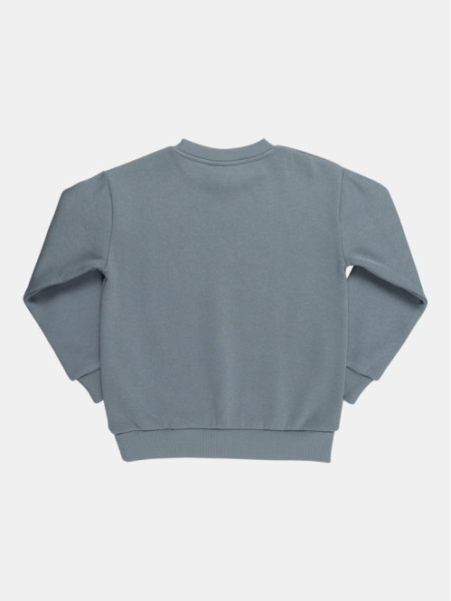 Sweat Jurassic garçon (4-12A)