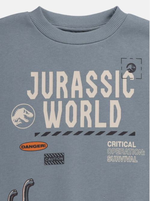 Sweat Jurassic garçon (4-12A)
