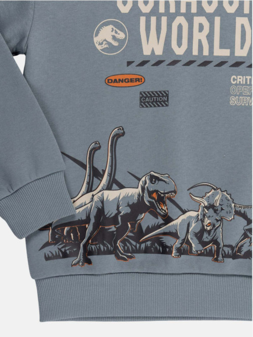 Sweat Jurassic garçon (4-12A)