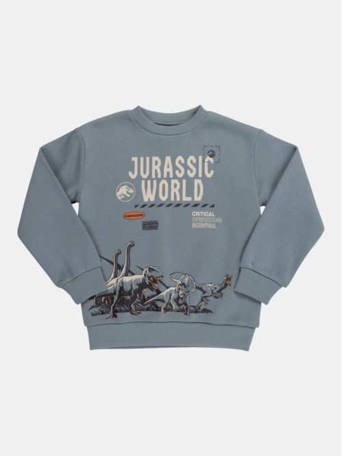 Sweat Jurassic garçon (4-12A)