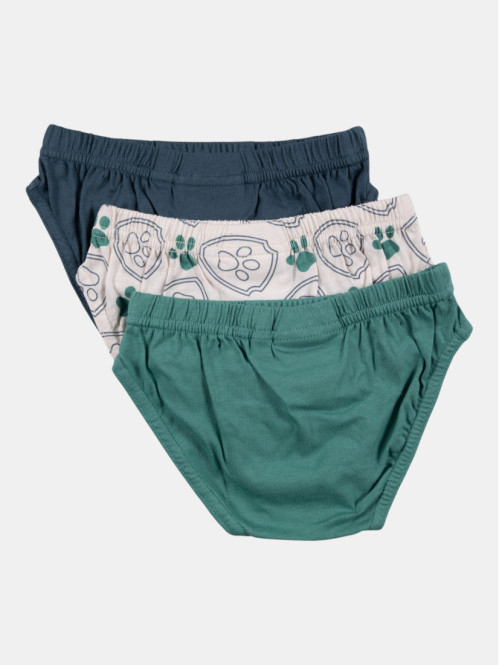 Lot de 3 slips Pat'...