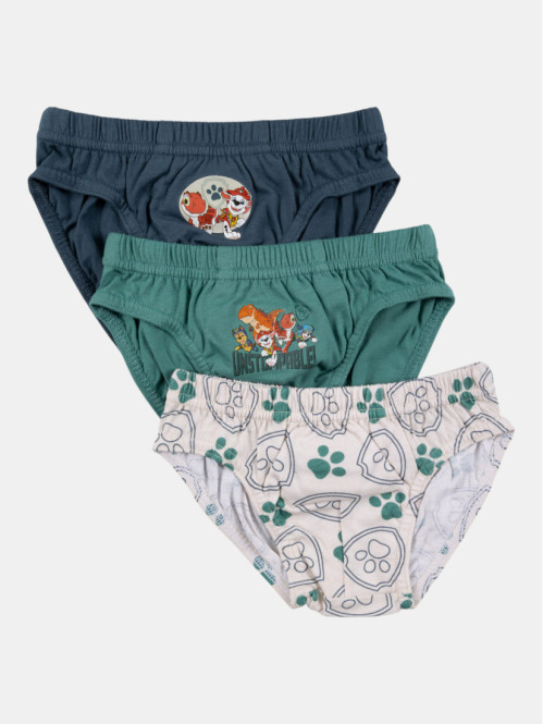 Lot de 3 slips Pat'...