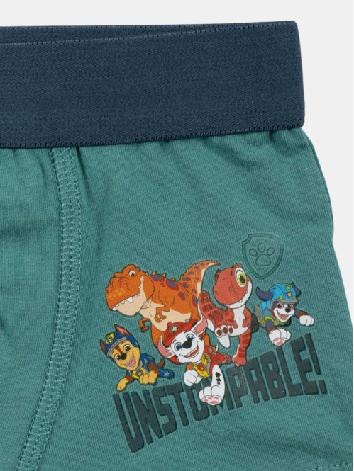 Lot de 2 boxers Pat'...