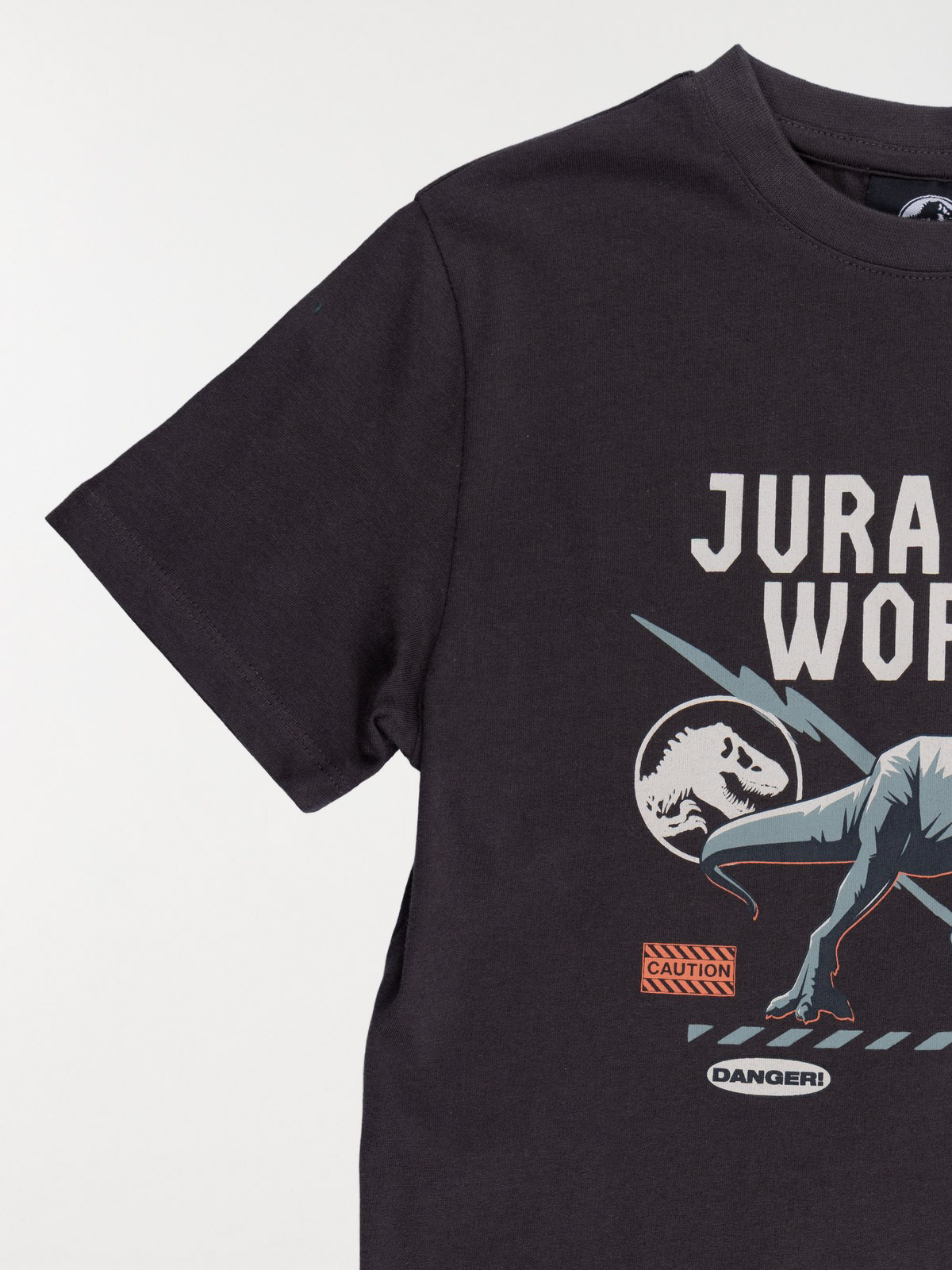 Tee-shirt garçon Jurassic World (5-12A) Tee-shirt garçon Jurassic World (5-12A)