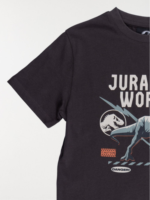 Tee-shirt garçon Jurassic...